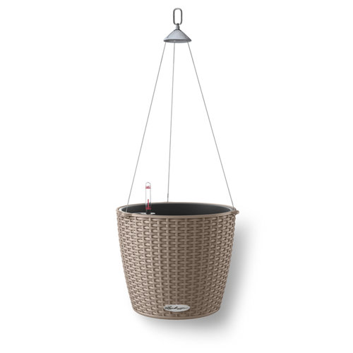 Lechuza Hanging Planter Wayfair